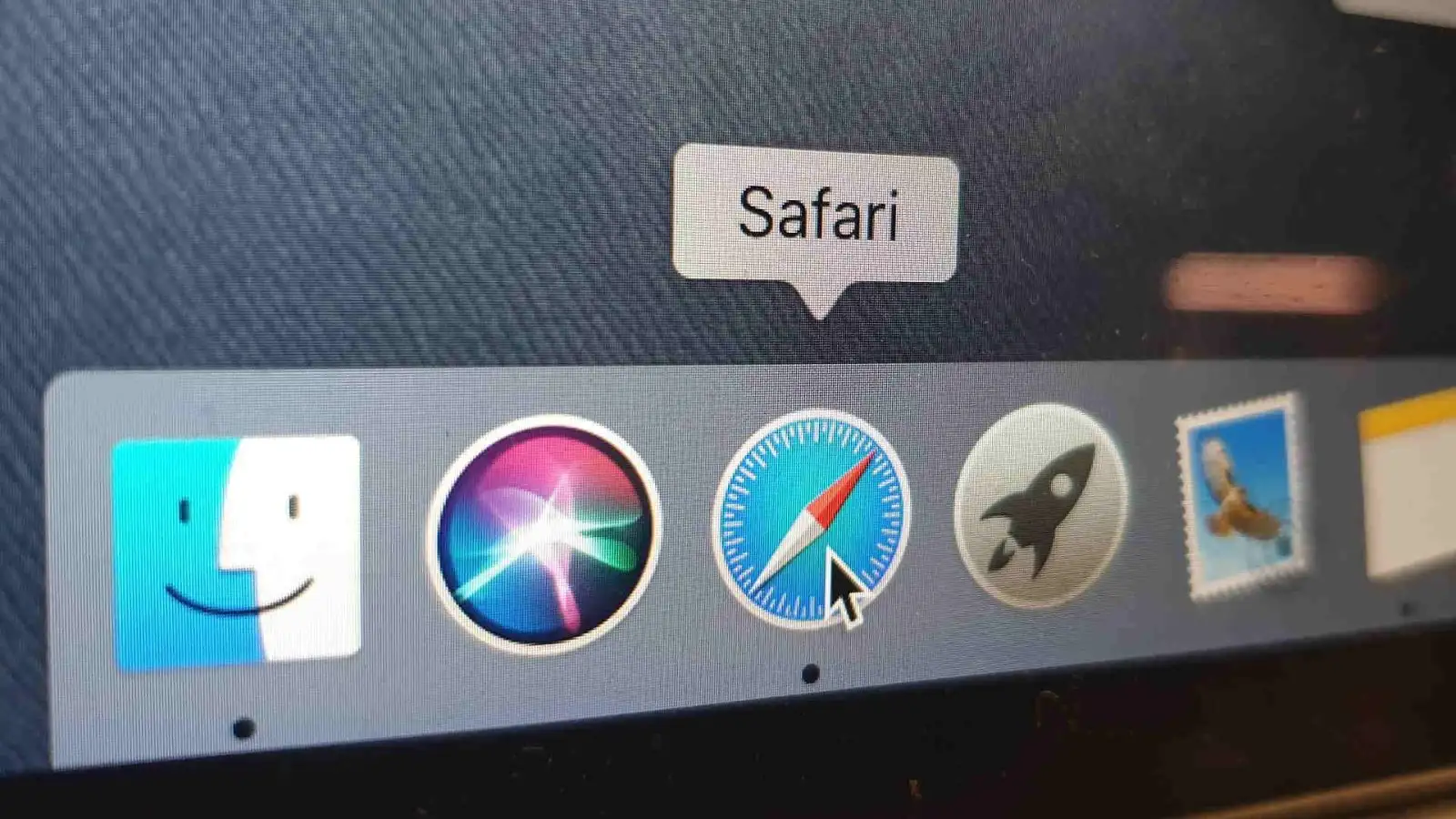 Safari