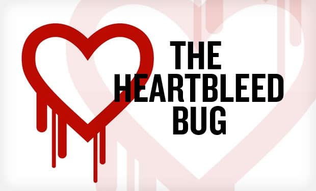 Most Famous  and Exploited Security Vulnerabilities - 27