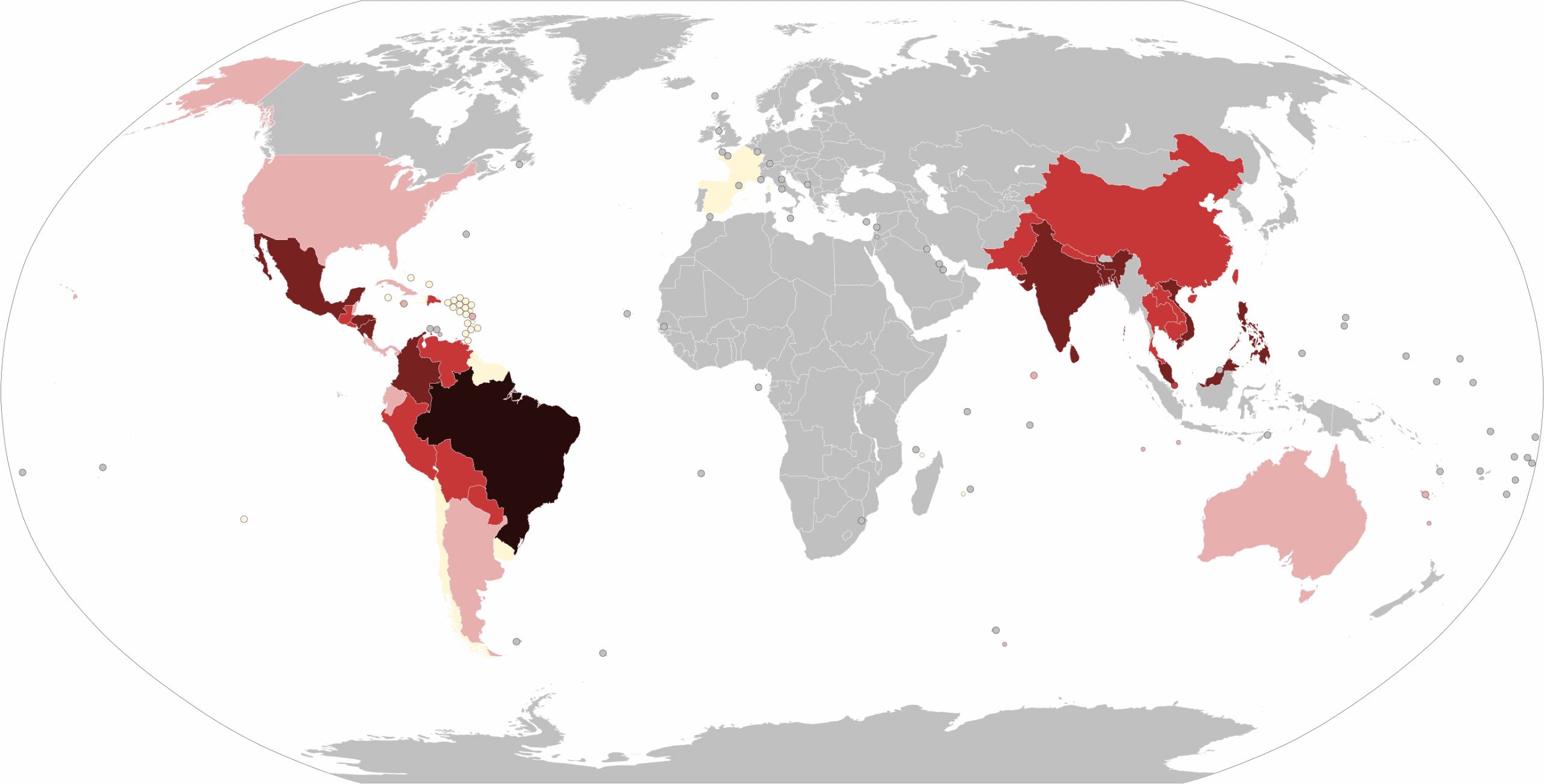 Dengue Virus 