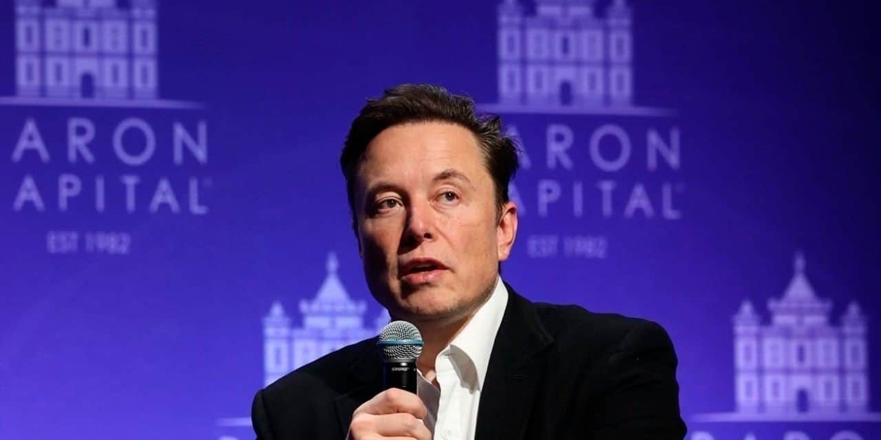 Musk Asking Twitter Users Whether He Should Step Down or Not - 4