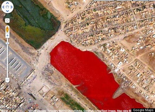 Most Weird Things Caught on Google Maps - 6