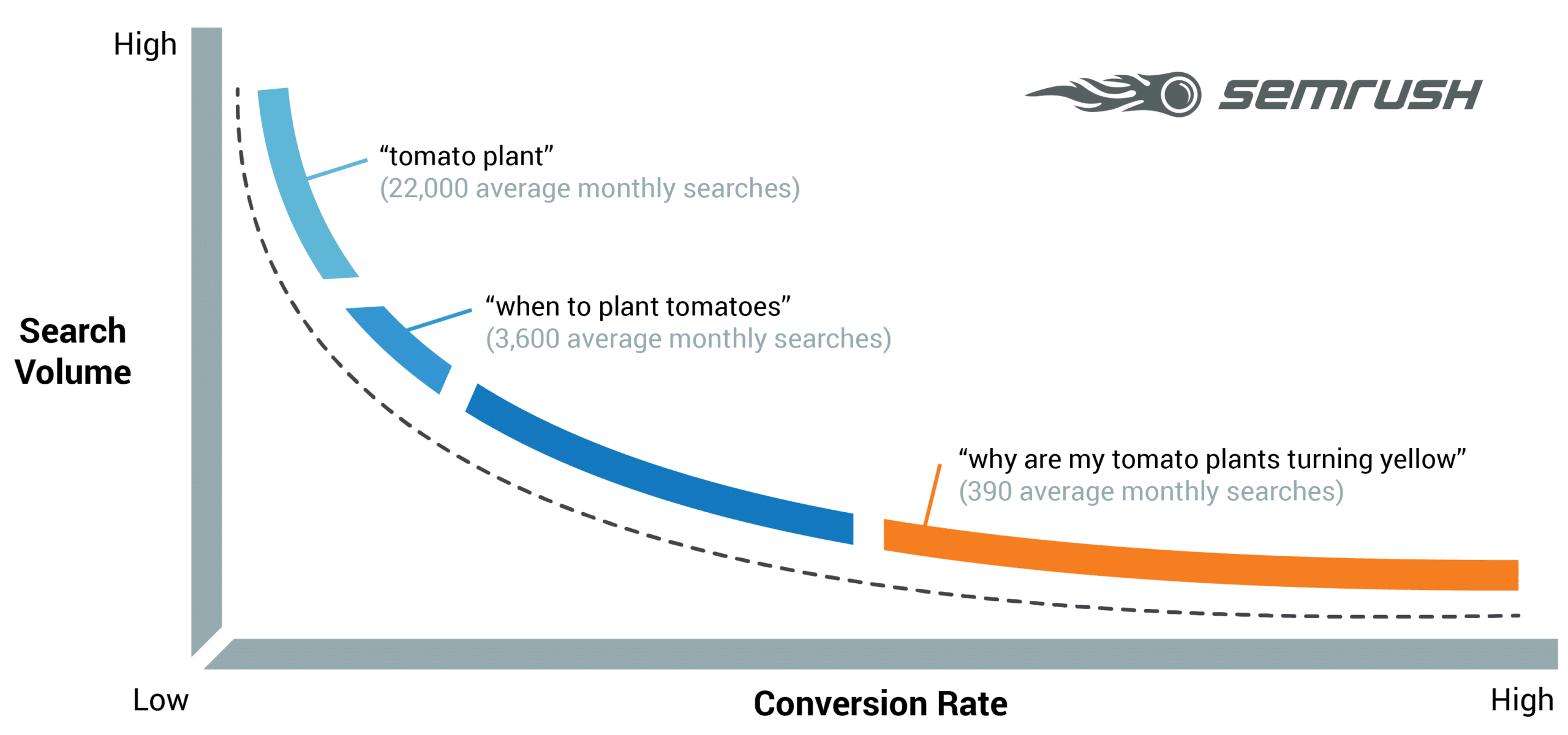 How to Find Long Tail Keywords and Rank for them