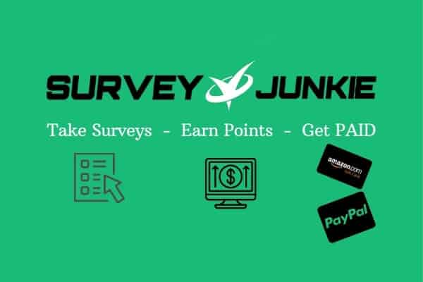 Savvy Dollar Survey Junkie Review