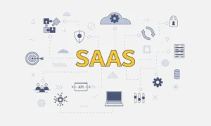 The SaaS Business Model scaled