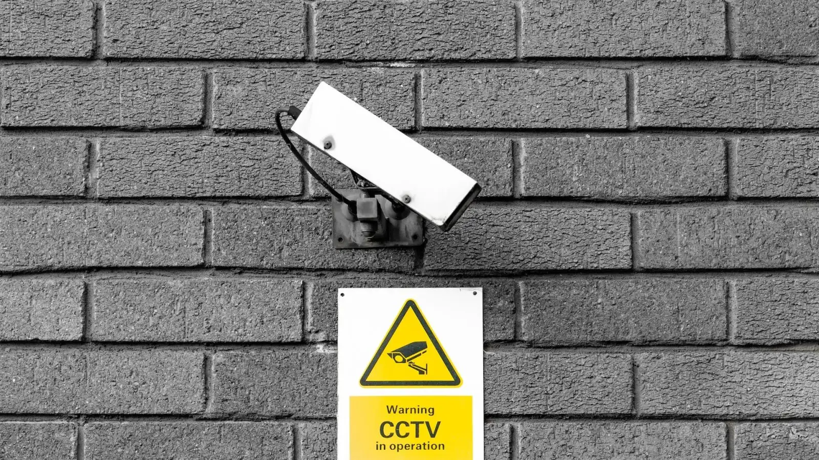 the blowup EvNZeUNhZW unsplash