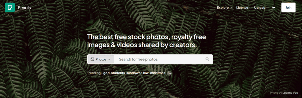 7 Best Websites to Get Copyright-Free Images