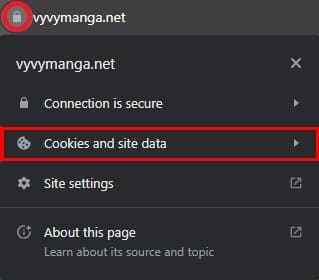 vyvymanga clear cache and cookies